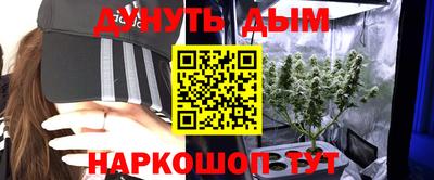дмт Будённовск