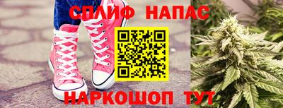 дмт Будённовск