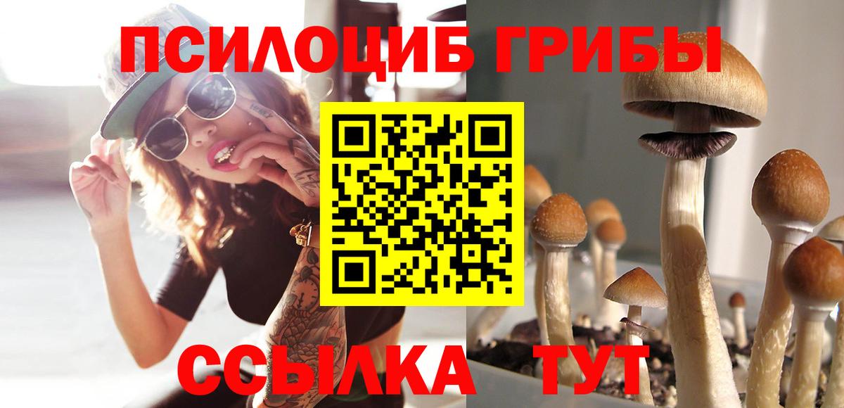 Галлюциногенные грибы Psilocybe  Вход с VPN  Галлюциногенные грибы Psilocybe  Евпатория 